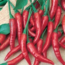 Sementes De Pimenta Cayenne Dedo De Moça
