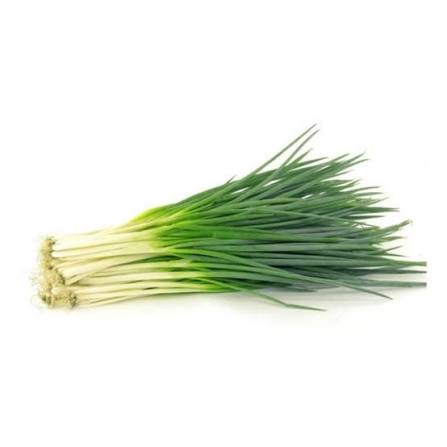 Sementes de Cebolinha Verde Isla Sementes Livre de Agrotóxicos