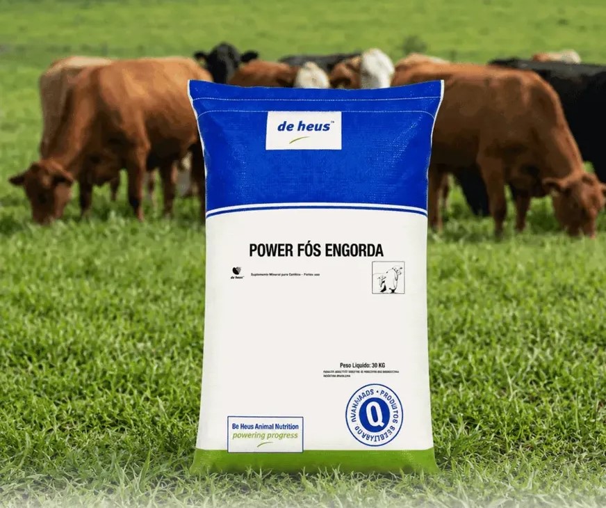 Sal Power fos engorda 30kg