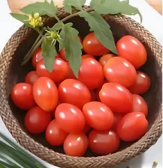 Sementes De Tomate Cereja Isla