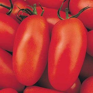 Sementes De Tomate Italiano San Marzano 100% Natural Isla