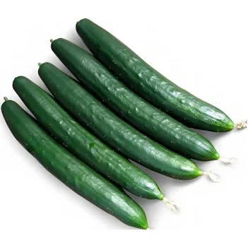 Sementes de Pepino Japonês Hiroshi ISLA