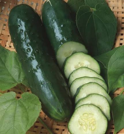 Sementes De Pepino Verde Comprido 100% Natural Isla